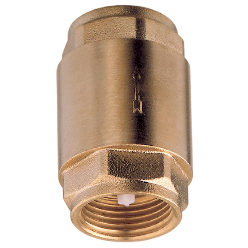 Spring Check Valve 3/8 BSP